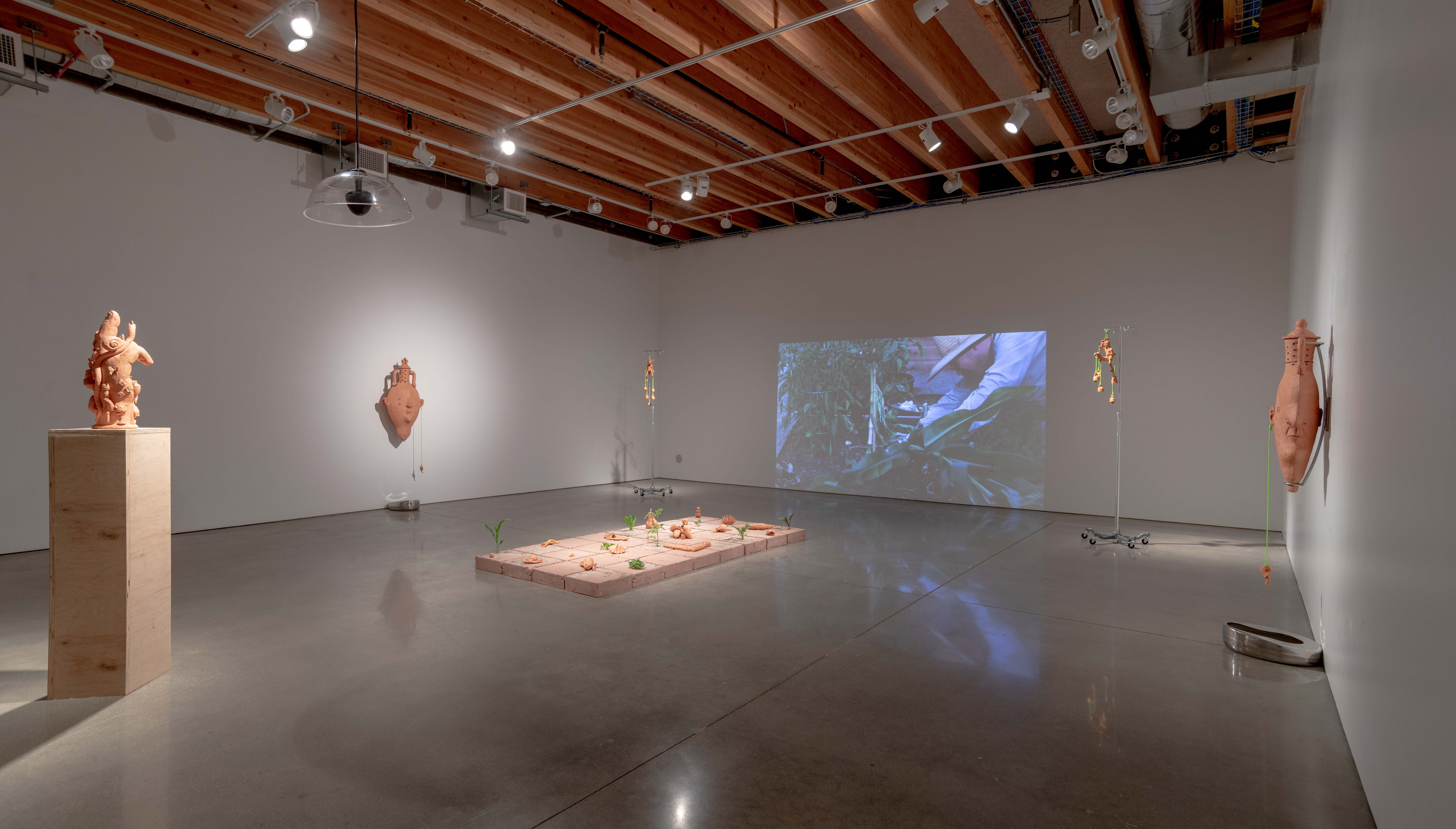 Various shots from different angles of the entire installation in the gallery at Margot
Levin Graduate Studios. In the center of the room is an 8’ x 4’ raised tile floor made from
unfired clay with ceramic objects adorning its surface. Live plants grow from cracks on top of
eight of the tiles. There is a video of a male-figure gardening projected onto the west wall
between two iv poles. The audio of the video is faint and comes from the rafters of the gallery.
Centered on the north and south walls are classical vases that rest on stainless steel armatures
positioned above bedpans that rest directly on the floor. Toward the east wall, off center and
facing the tile floor is a ceramic hand on top of an unfinished wood pedestal. Between the
hand and the tile floor hangs a parabolic speaker from which a woman’s voice can be heard
telling personal stories. 