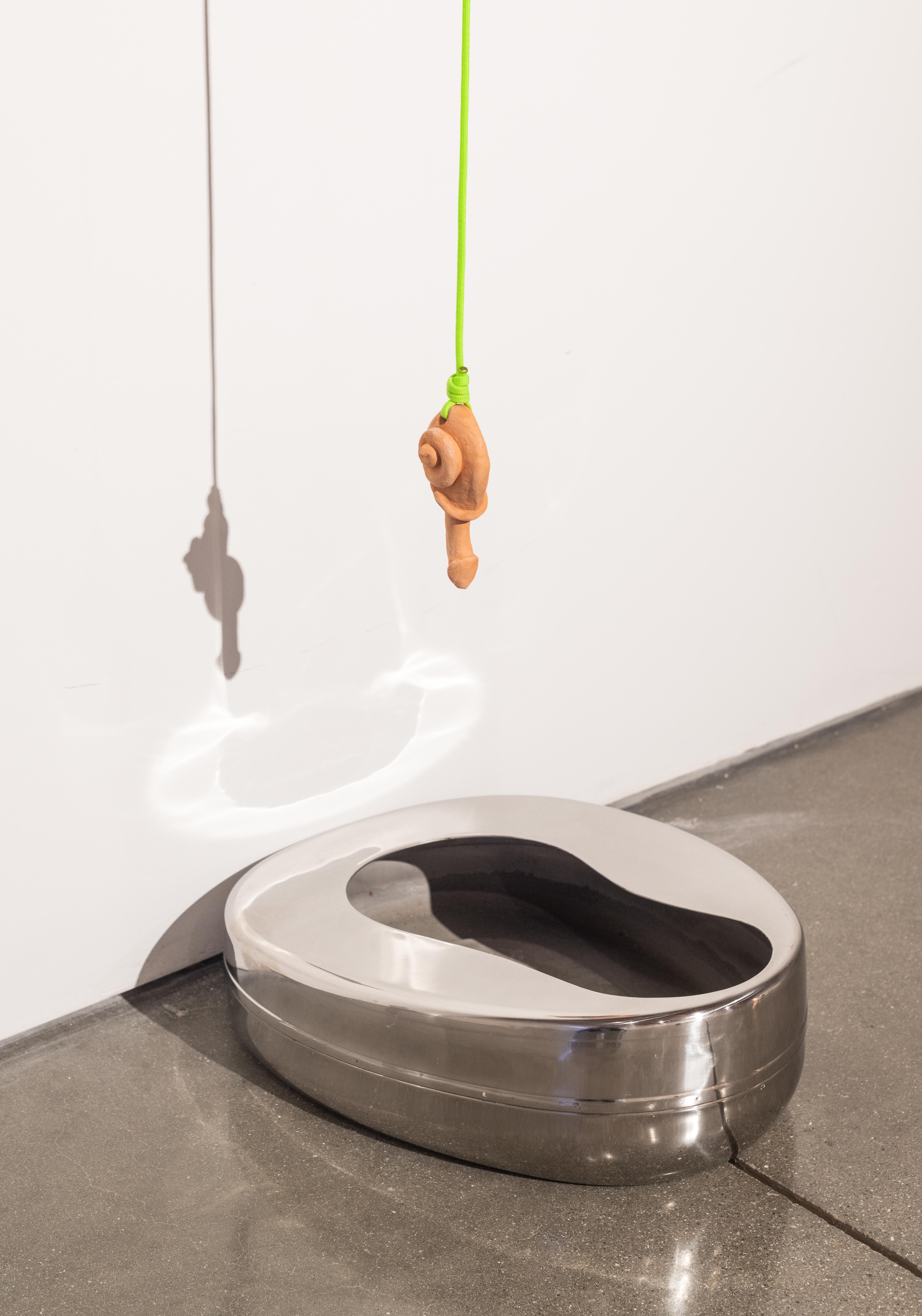Detail shot of a snail charm hanging above a stainless steel bedpan with light
reflecting from its surface onto the gallery wall. 