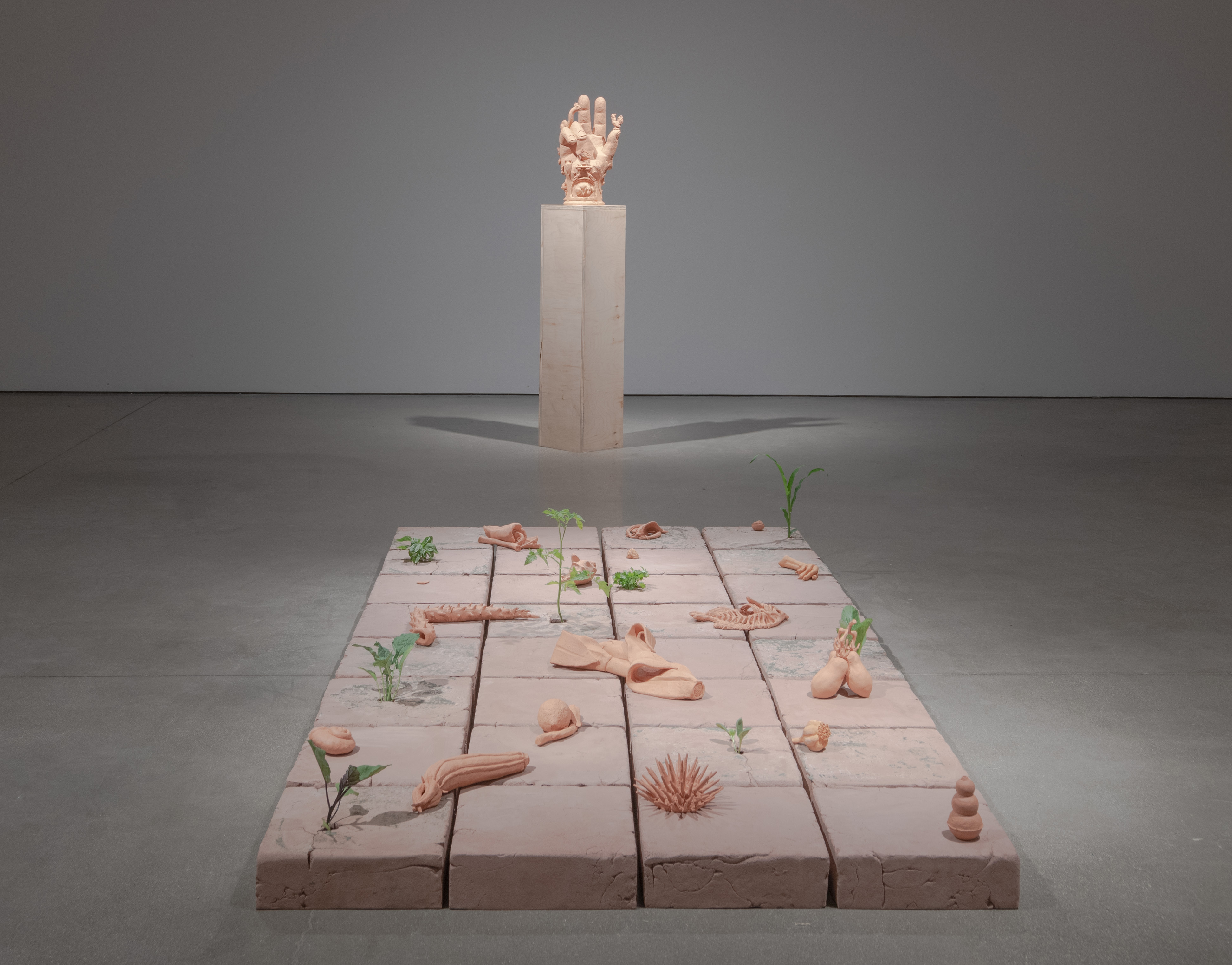 Detail of the back of a ceramic hand on top of a reclaimed wood pedestal. The hand
is in the position of the Hand of the Benediction. On top of the thumb is a small rooster. A
snail-like creature slides up the back of the hand and extends above the pinky and ring fingers.
A snail-shell and butterflies adorn its body. On the ride side of the hand is a phallic staff made
to look like an asparagus. In the center is a small lizard with roses below its tail as well as a
pine-cone with two acorns on either side. To the left of the lizard is a cherub-like figure with a
mermaids tail, a hen upon its head and a baby chick on its backside. Below the figure is a
mouse head above a small phallic arch structure. The museum wax holding the hand to the
pedestal is slightly visible. 
