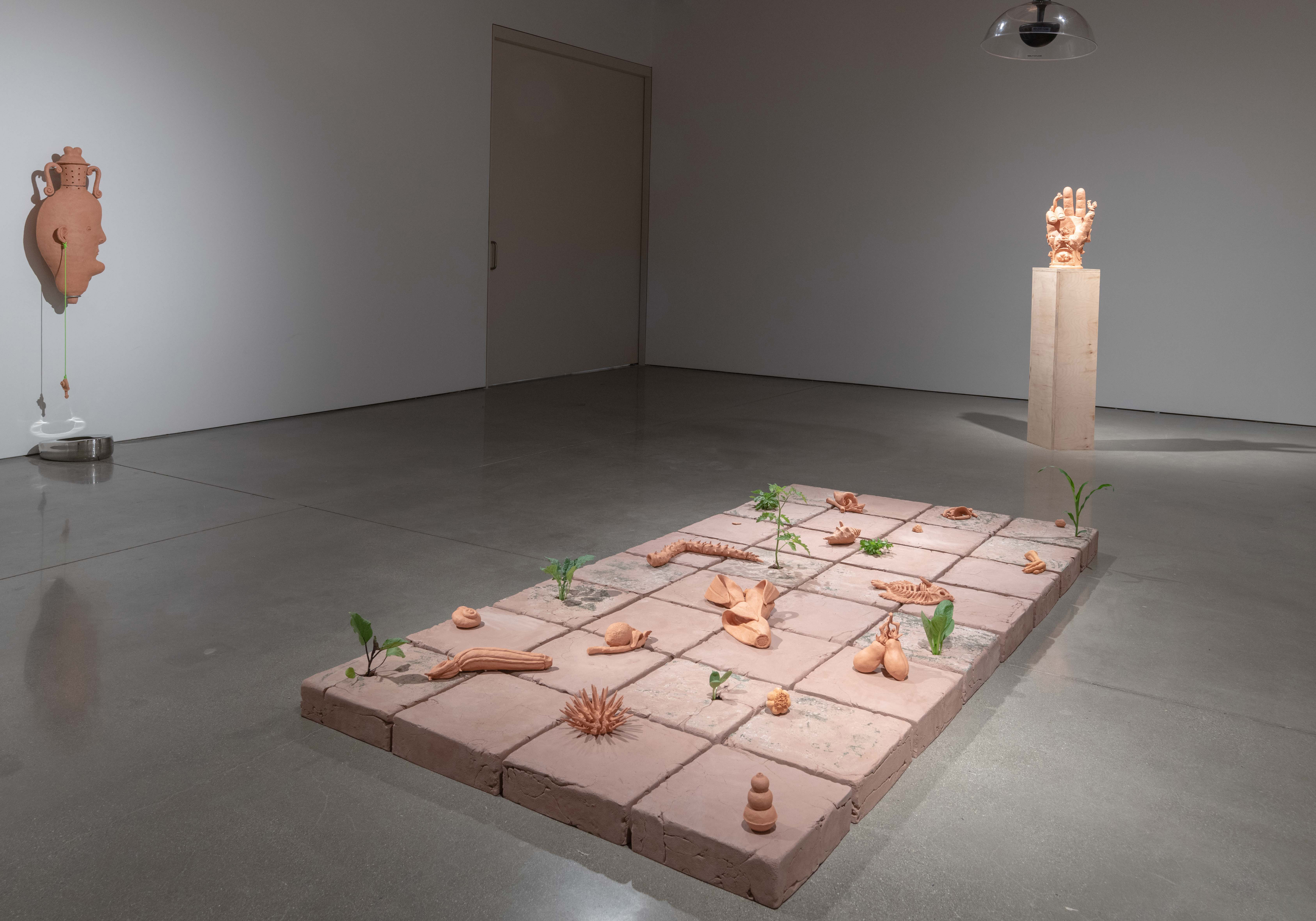 Various shots from different angles of the entire installation in the gallery at Margot
Levin Graduate Studios. In the center of the room is an 8’ x 4’ raised tile floor made from
unfired clay with ceramic objects adorning its surface. Live plants grow from cracks on top of
eight of the tiles. There is a video of a male-figure gardening projected onto the west wall
between two iv poles. The audio of the video is faint and comes from the rafters of the gallery.
Centered on the north and south walls are classical vases that rest on stainless steel armatures
positioned above bedpans that rest directly on the floor. Toward the east wall, off center and
facing the tile floor is a ceramic hand on top of an unfinished wood pedestal. Between the
hand and the tile floor hangs a parabolic speaker from which a woman’s voice can be heard
telling personal stories. 