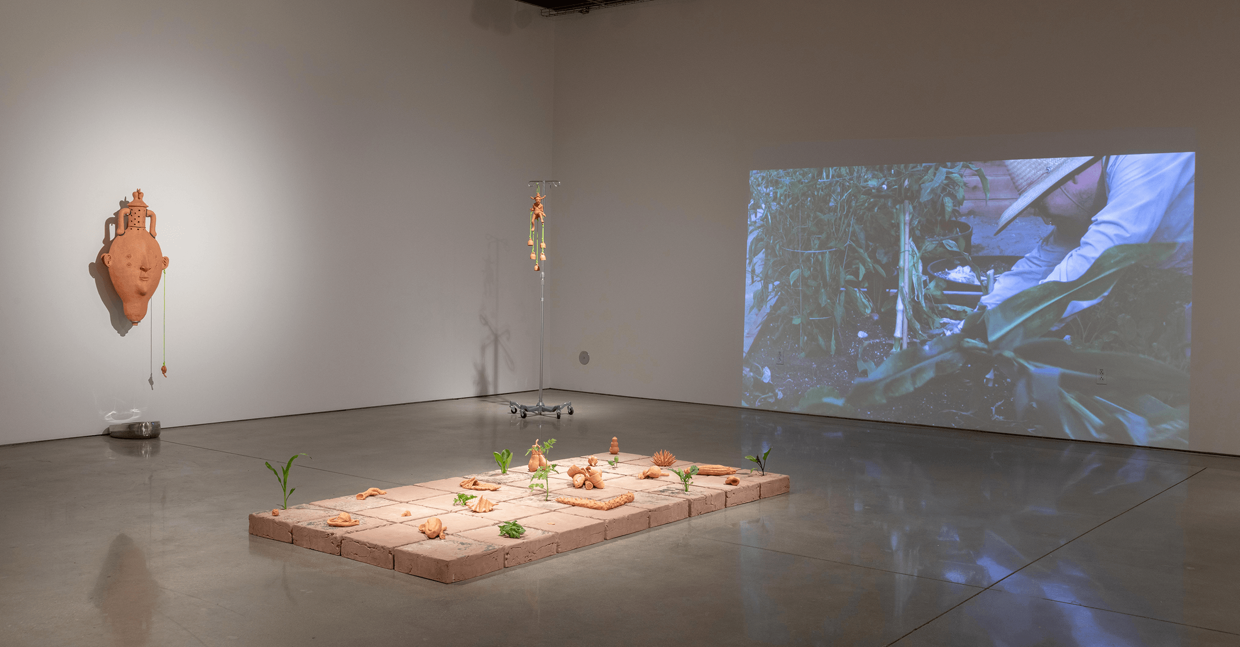 Various shots from different angles of the entire installation in the gallery at Margot
Levin Graduate Studios. In the center of the room is an 8’ x 4’ raised tile floor made from
unfired clay with ceramic objects adorning its surface. Live plants grow from cracks on top of
eight of the tiles. There is a video of a male-figure gardening projected onto the west wall
between two iv poles. The audio of the video is faint and comes from the rafters of the gallery.
Centered on the north and south walls are classical vases that rest on stainless steel armatures
positioned above bedpans that rest directly on the floor. Toward the east wall, off center and
facing the tile floor is a ceramic hand on top of an unfinished wood pedestal. Between the
hand and the tile floor hangs a parabolic speaker from which a woman’s voice can be heard
telling personal stories. 