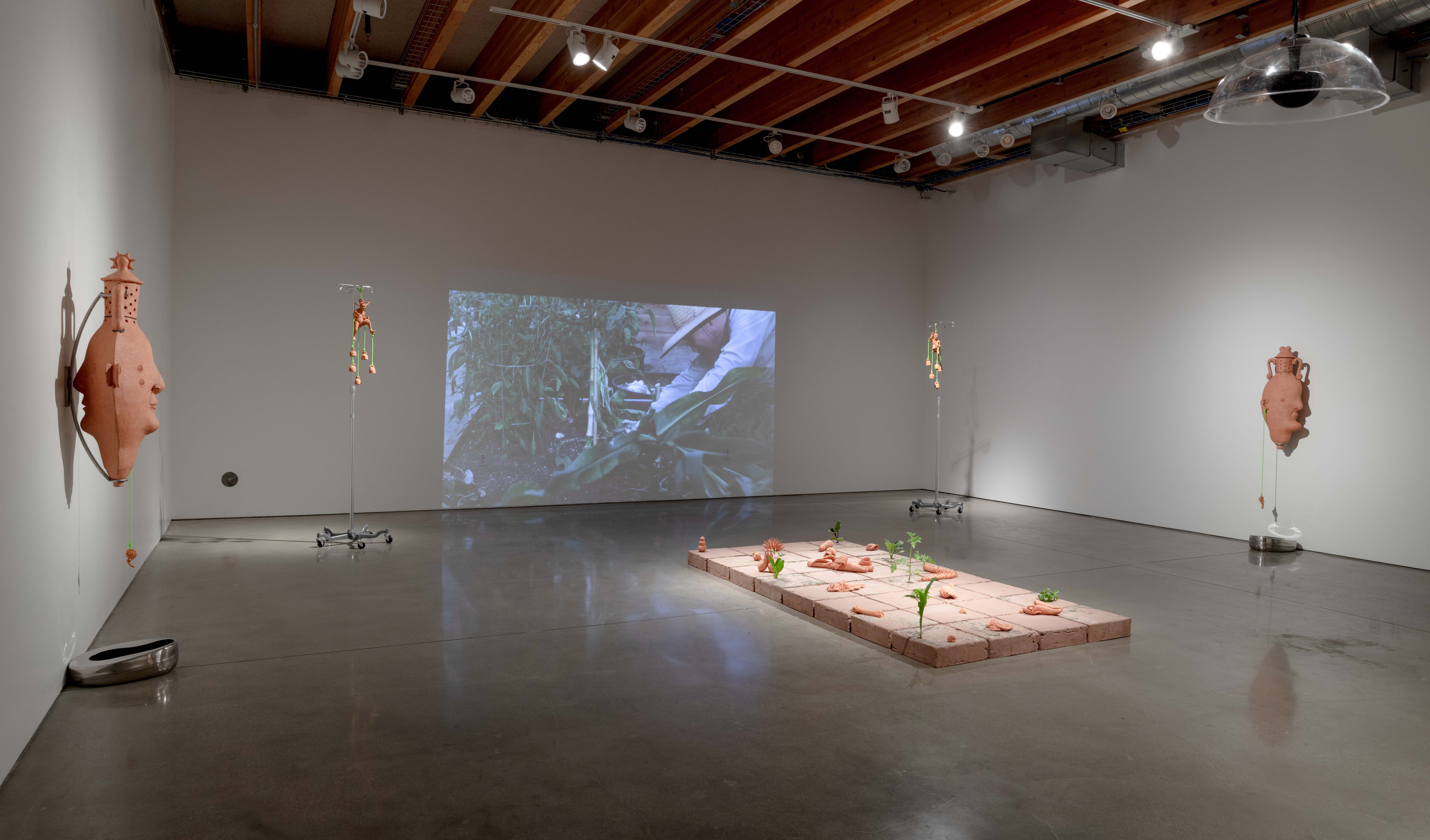 Various shots from different angles of the entire installation in the gallery at Margot
Levin Graduate Studios. In the center of the room is an 8’ x 4’ raised tile floor made from
unfired clay with ceramic objects adorning its surface. Live plants grow from cracks on top of
eight of the tiles. There is a video of a male-figure gardening projected onto the west wall
between two iv poles. The audio of the video is faint and comes from the rafters of the gallery.
Centered on the north and south walls are classical vases that rest on stainless steel armatures
positioned above bedpans that rest directly on the floor. Toward the east wall, off center and
facing the tile floor is a ceramic hand on top of an unfinished wood pedestal. Between the
hand and the tile floor hangs a parabolic speaker from which a woman’s voice can be heard
telling personal stories. 
