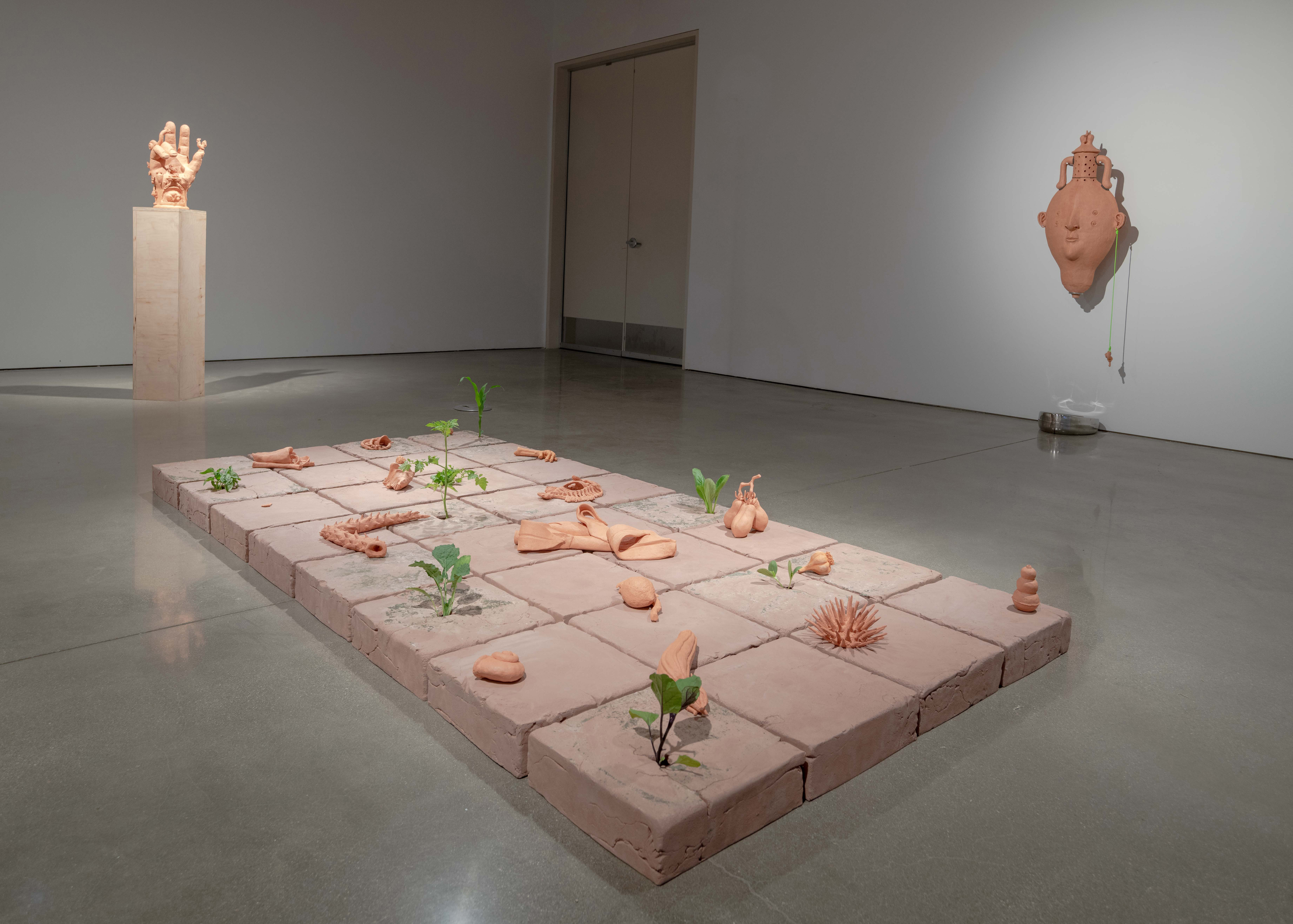 Various shots from different angles of the entire installation in the gallery at Margot
Levin Graduate Studios. In the center of the room is an 8’ x 4’ raised tile floor made from
unfired clay with ceramic objects adorning its surface. Live plants grow from cracks on top of
eight of the tiles. There is a video of a male-figure gardening projected onto the west wall
between two iv poles. The audio of the video is faint and comes from the rafters of the gallery.
Centered on the north and south walls are classical vases that rest on stainless steel armatures
positioned above bedpans that rest directly on the floor. Toward the east wall, off center and
facing the tile floor is a ceramic hand on top of an unfinished wood pedestal. Between the
hand and the tile floor hangs a parabolic speaker from which a woman’s voice can be heard
telling personal stories. 