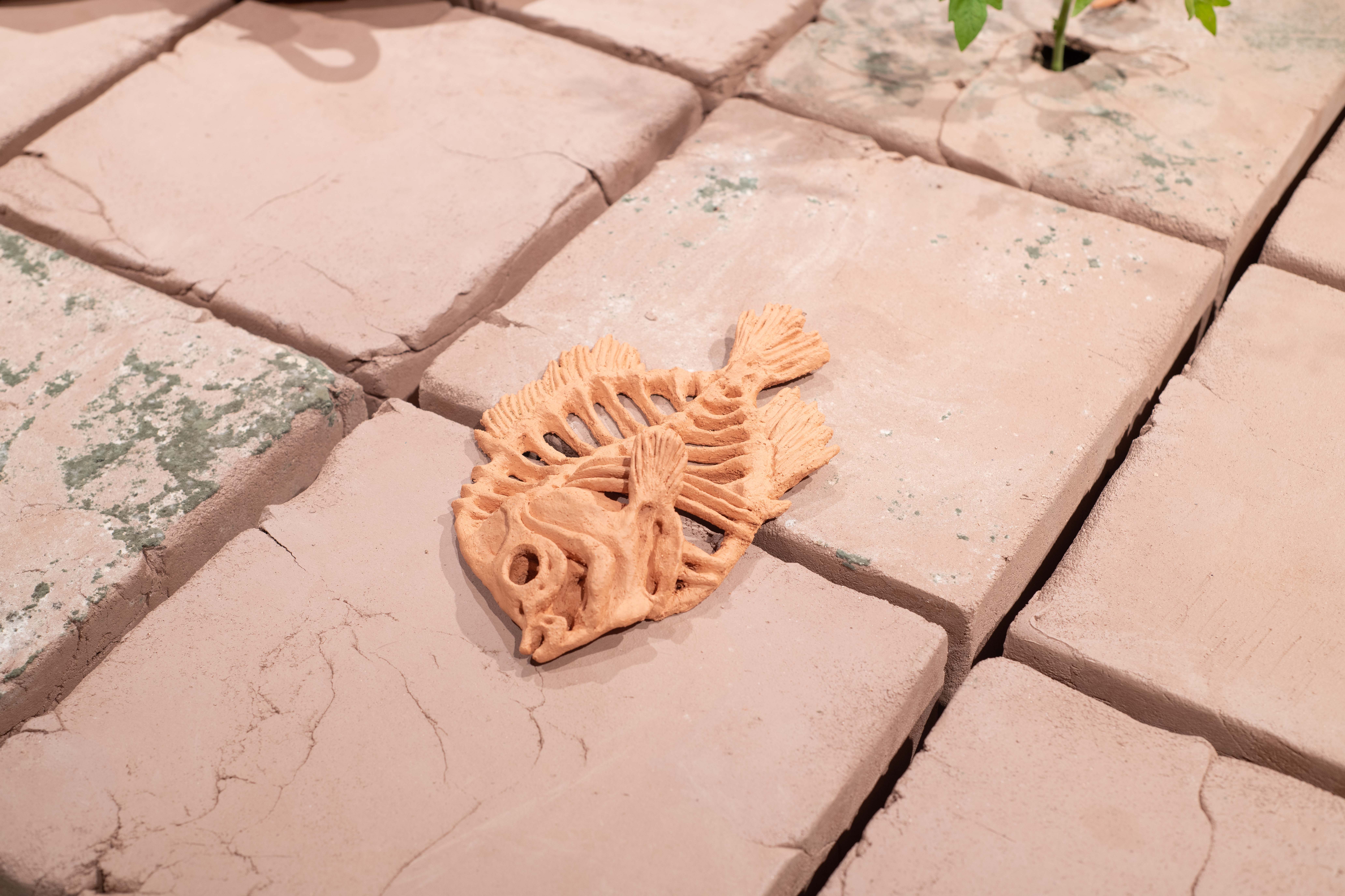 Detail shots of an 8’ x 4’ tile floor made from unfired clay with vegetable and herb
plants growing through cracks on eight of the tiles. The ceramic objects adorning the surface
are representations of different vegetables from my garden and other compostable waste.