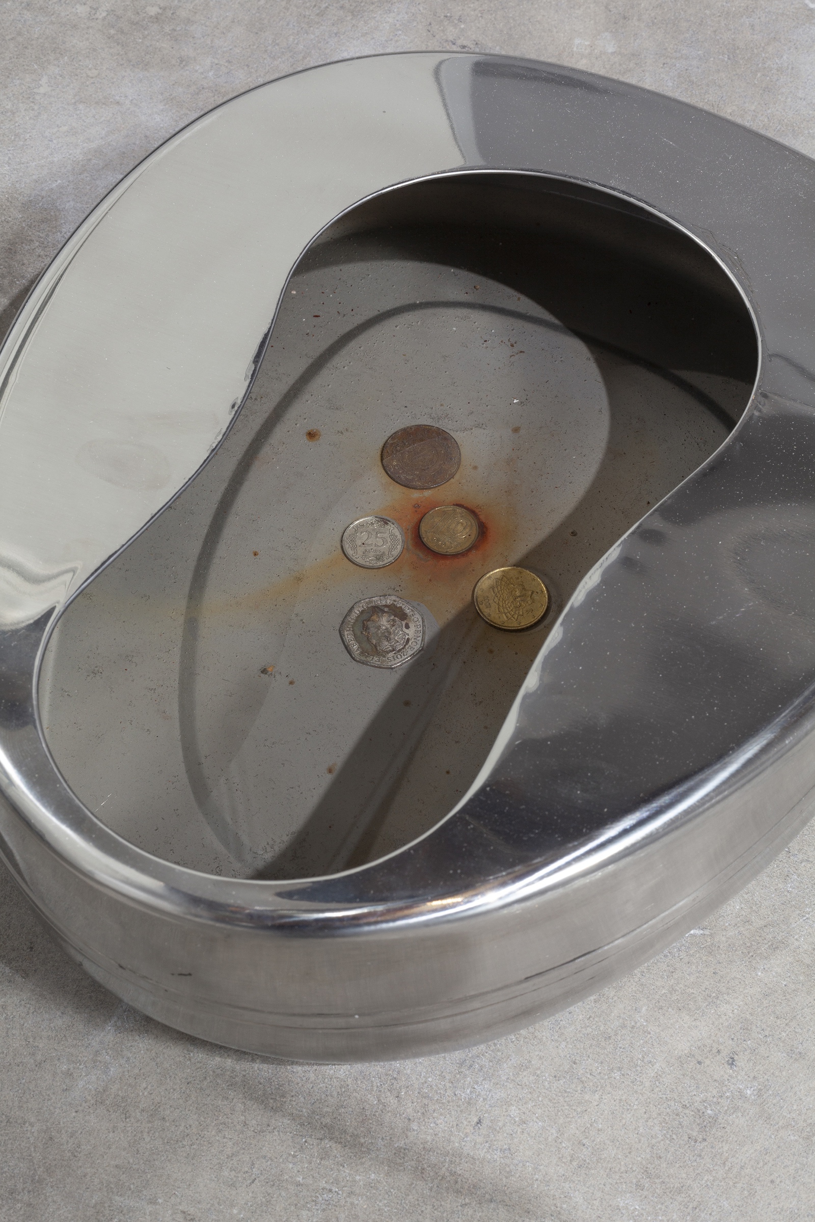 Detail image of a bed pan filled with non-domestic coins and water.