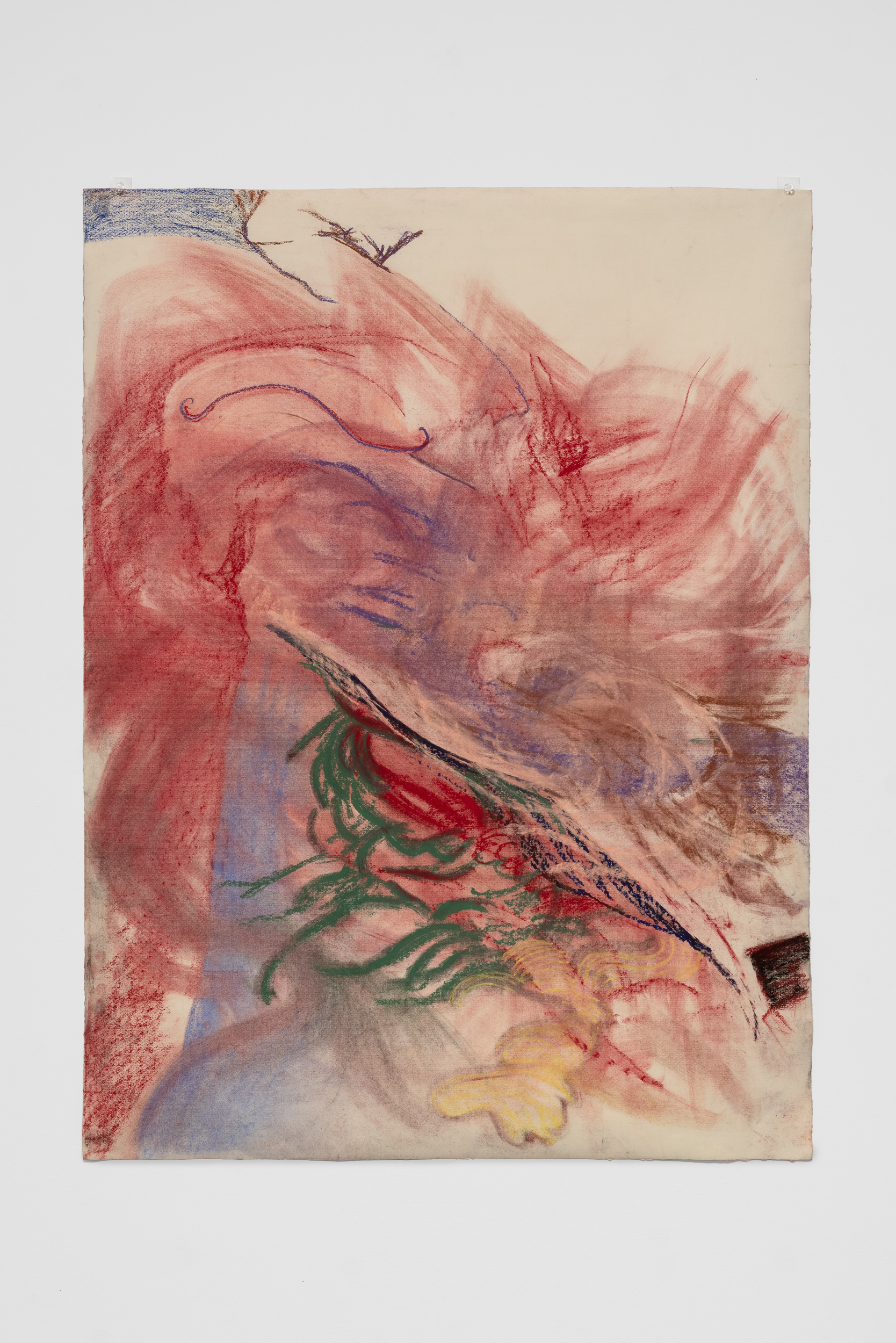 abstract drawing of red swirls
on a woman’s body seen from
behind and a green pattern at
the bottom