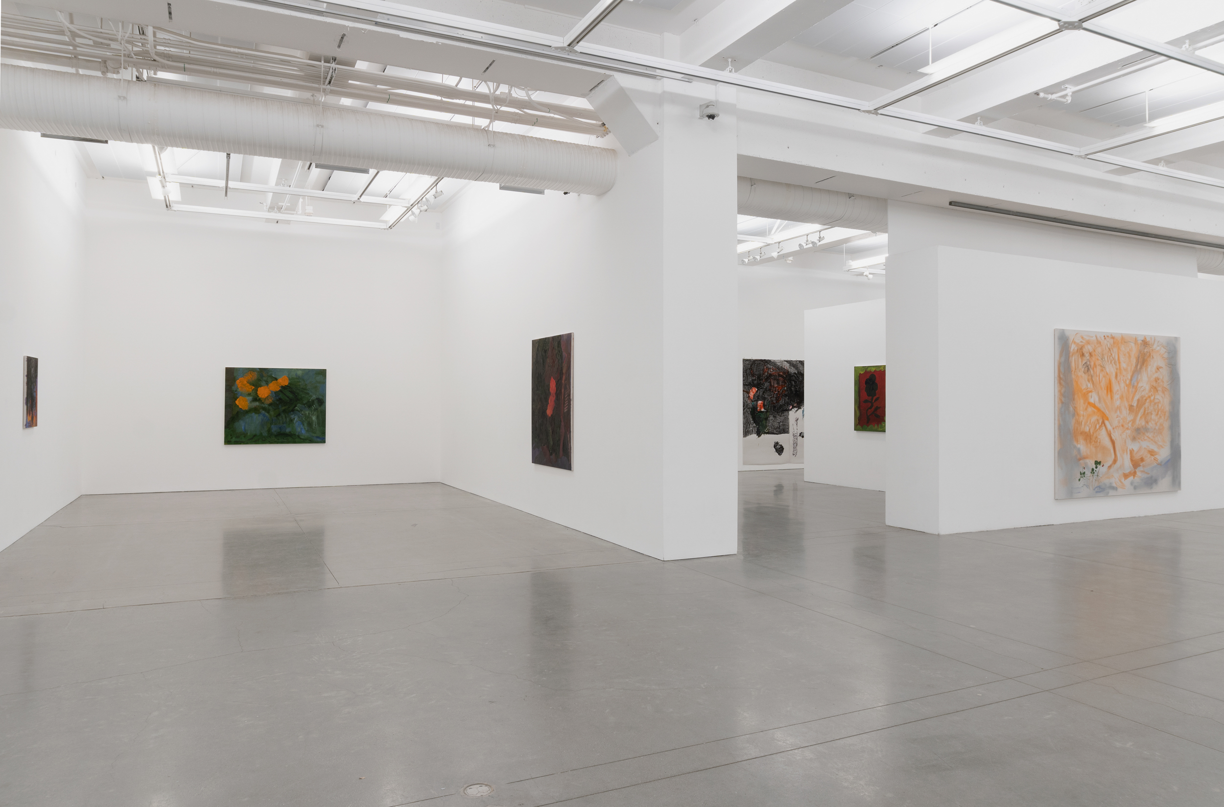 Gallery view with cempasuchil, salzburg and black flower